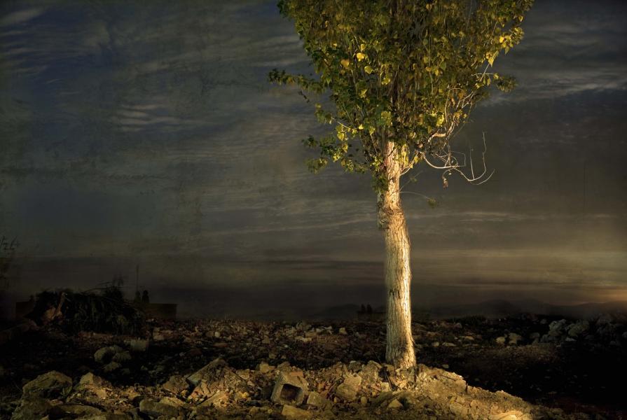 The Quest for the Blue Flower VI