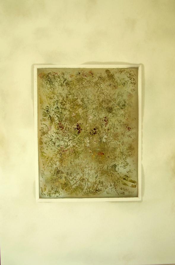 Garden. Il vento che accarezza le foglie.