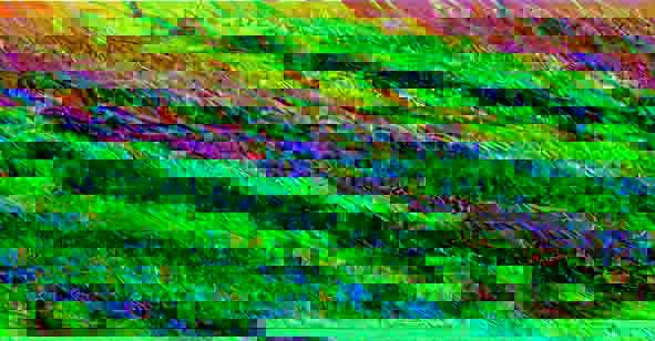 5072428767_9549f98a5e_z