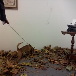 Invito Conferenza: "UN SOGGIORNO PER L'ETEREO. COMPRENDERE L'ARTE CONTEMPORANEA"