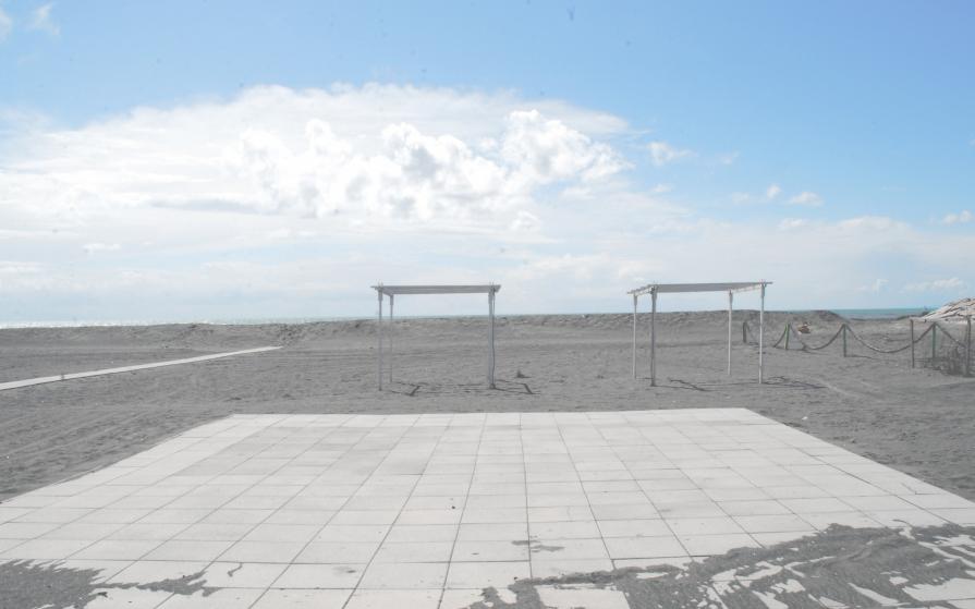 Spring on a solitary beach