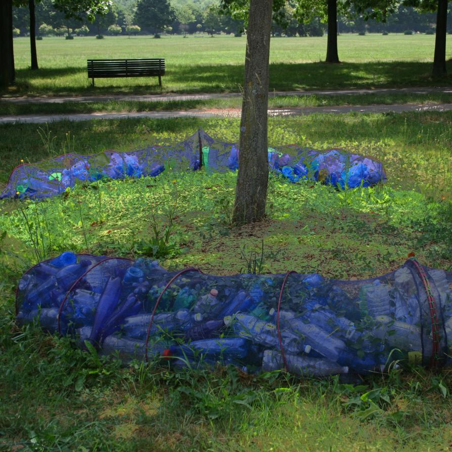 Dalla raccolta alla semina 4