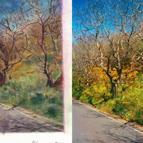 Acquarello & Fotografia