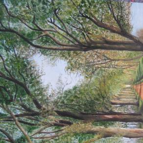 il viale egli olmi Casalmaggiore