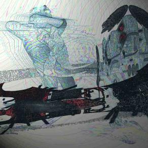 Wedeln der falschen Potenz (neue nachbarn)