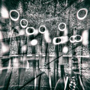 La percezione di qualcos'altro 