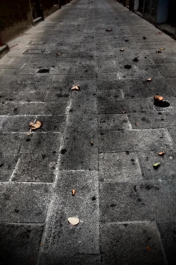 Tutta la mia vita in una folata di vento 