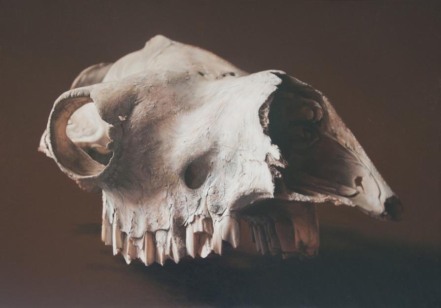 I'm paranoid of people (and it's starting to show)