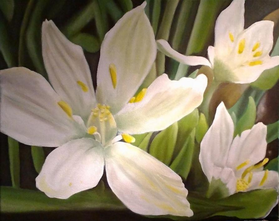 Nei giardini che nessuno sa