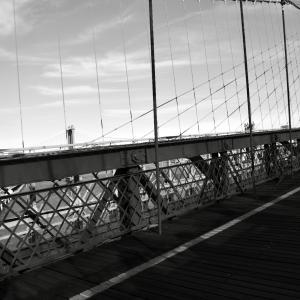 Allineamenti - 2014 - 532