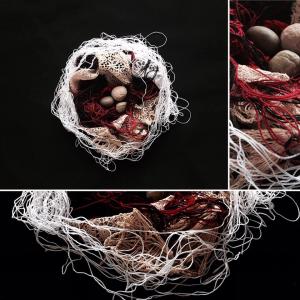 Animas - Nido Animas - Nido