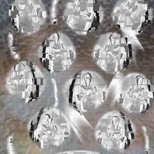 She sent us messages that the sun reflected her light / shade