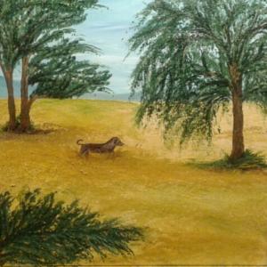 Passeggiata X camigliano