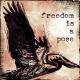 Freedom