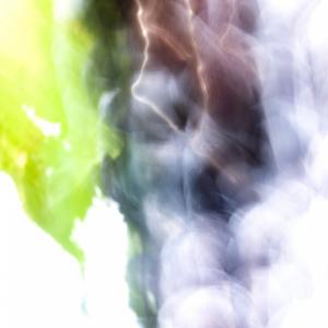 Wine, Technicolor Wine, Technicolor