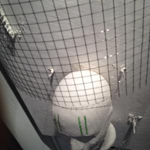 NOI, NEL GIARDINO DEI FOLLI NOI, NEL GIARDINO DEI FOLLI