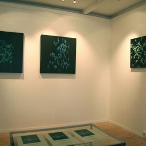 "20 mostre in villa"  Villa Borbone   Viale dei Tigli Viareggio