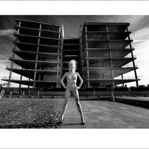 Royal Hibernian Academy 2013 Exhibition Royal Hibernian Academy 2013 Exhibition