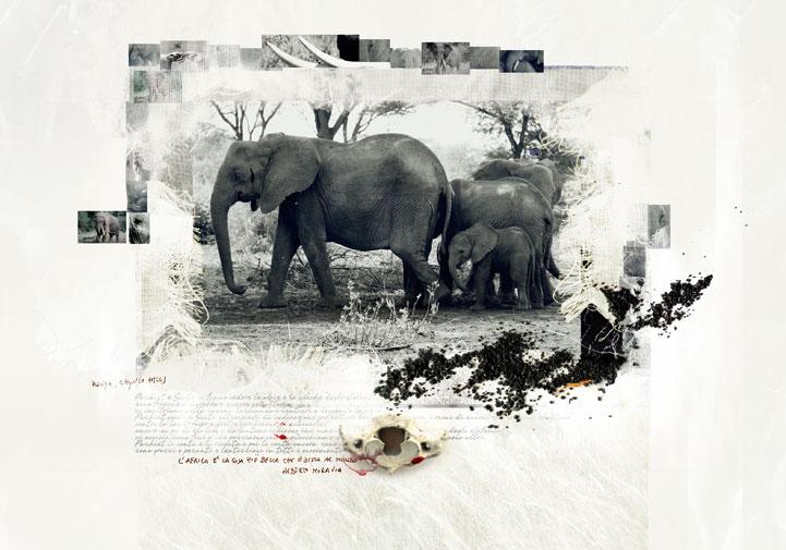 NEXT AFRICA. DIARIO DI VIAGGIO 