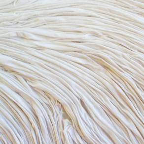 particolare epidermide