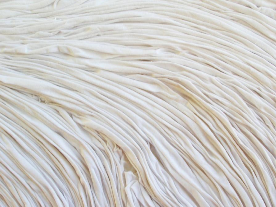 particolare epidermide