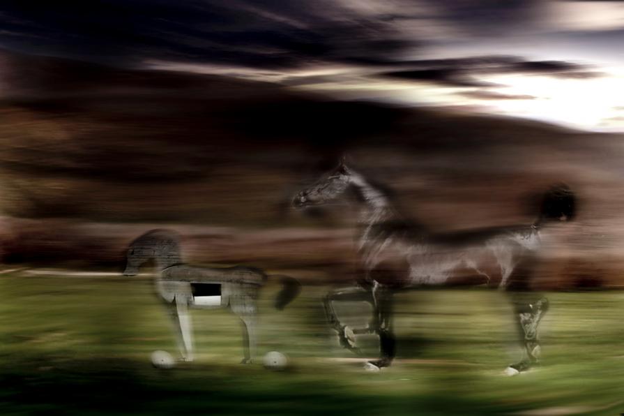 Gambadilegno trotta trotta.