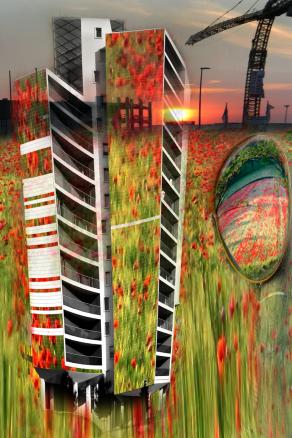 siamo tutti figli dei fiori... 