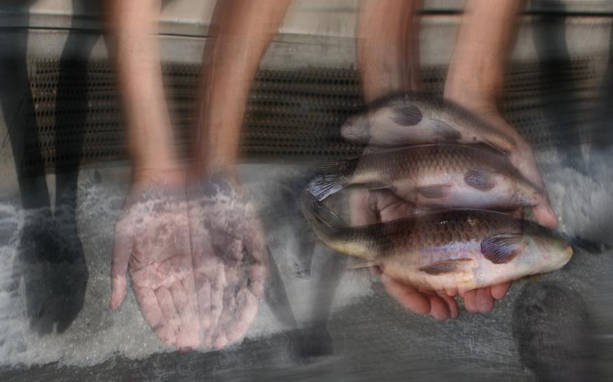 laudato sii mio signore per sora acqua.