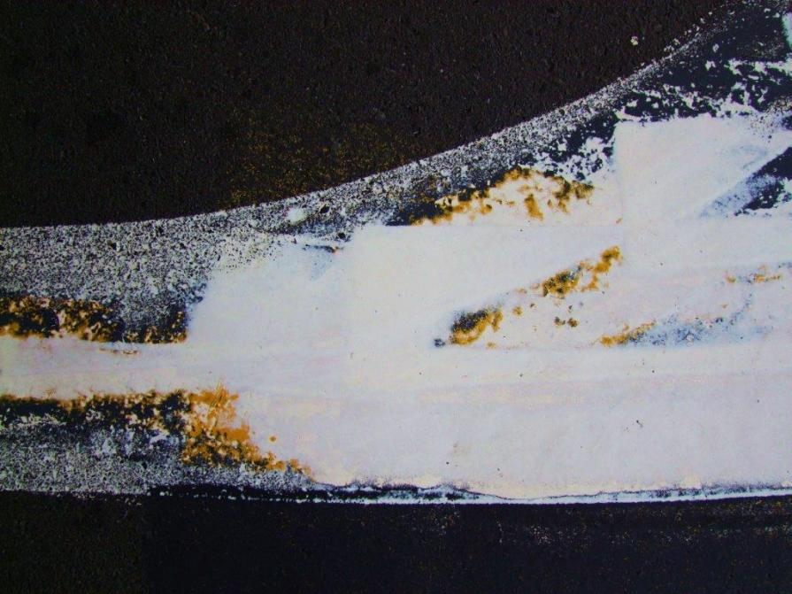 Extract. NZ II 2012 - GZ - DSCF1594 Extract. NZ II 2012 - GZ - DSCF1594