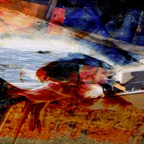 Annesso tegumentario 1