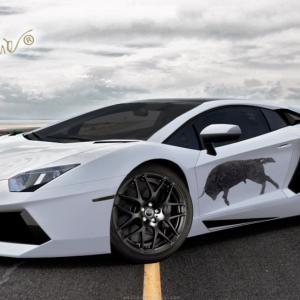 Progetto Lamborghini Progetto Lamborghini