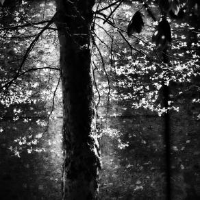 15 giorni dopo il "risveglio" 