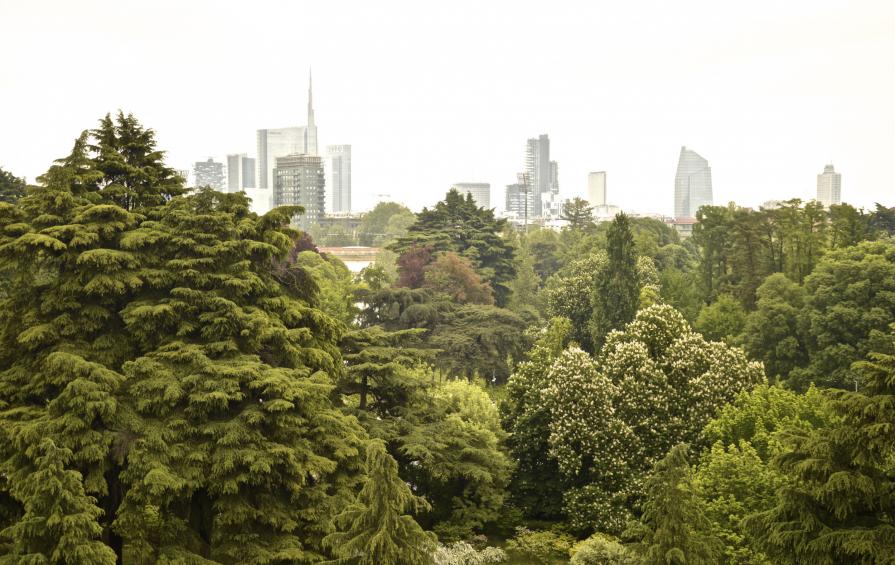bosco in città
