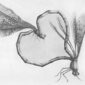 Sex Love & Money "Moneyflies"