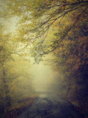 Beyon the visible....