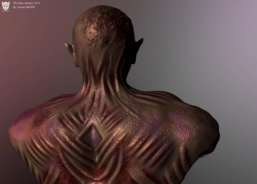 The Bust By Yacine BRINIS 2016 View 08