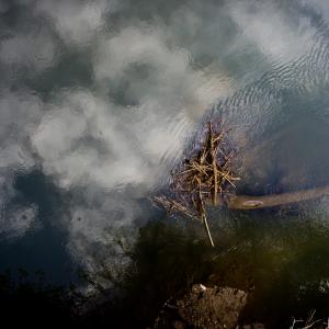 Down by The River Down by The River