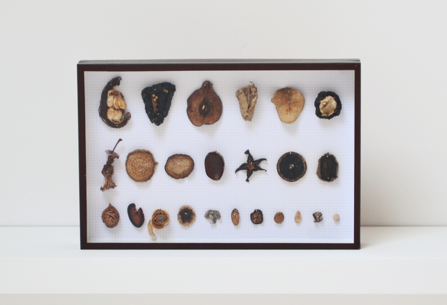 First ever seen by me  (Terra Incognita)   