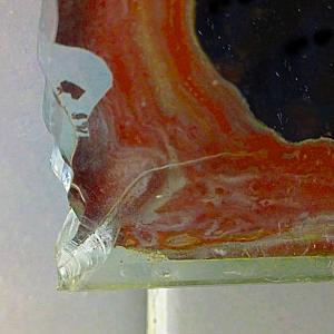 Utopia contemporanea14 Utopia contemporanea14