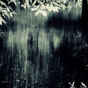 L'ultimo saluto ( Last Goodbye )