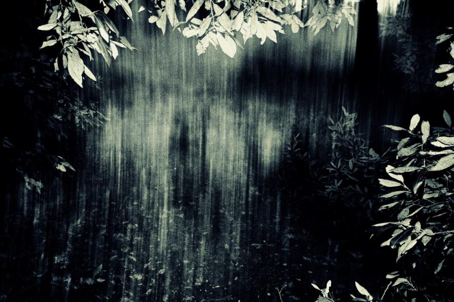 L'ultimo saluto ( Last Goodbye )