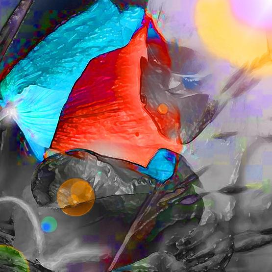 In ogni passo che muoverai qui . . .