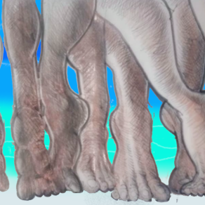 Gambe danzanti lungo la spiaggia