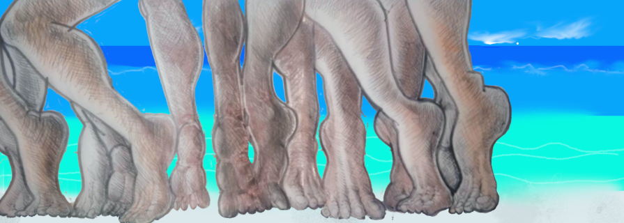 Gambe danzanti lungo la spiaggia