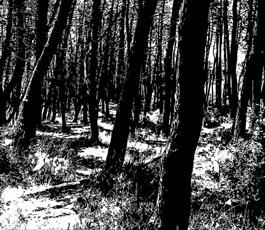 PER UN OMAGGIO A FRIEDRICH