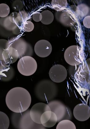         ... Sussurri della Nebbia !!! ...