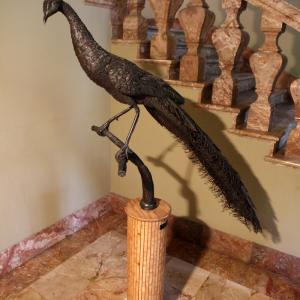 LE FOTO DI ALTRA NATURA IN VILLA fino al 25 ottobre CLUB LA MERIDIANA (MO)