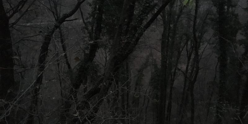 Diritto e fotografia http://www.condominiofotografico.it/ws_dirittoefotografia30042017.php