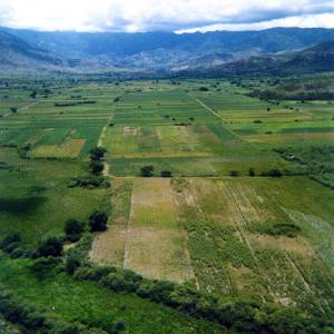 Mexico. Disposable faded