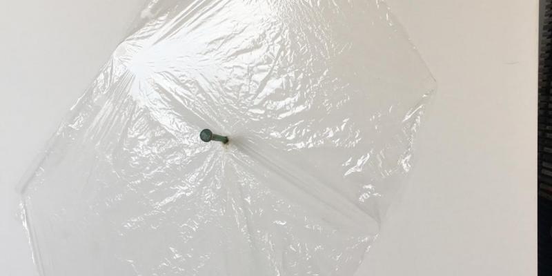 Amedeo Gabucci in art from the Emilio Belotti: Somatic Traits Amedeo Gabucci in art from the Emilio Belotti: Somatic Traits